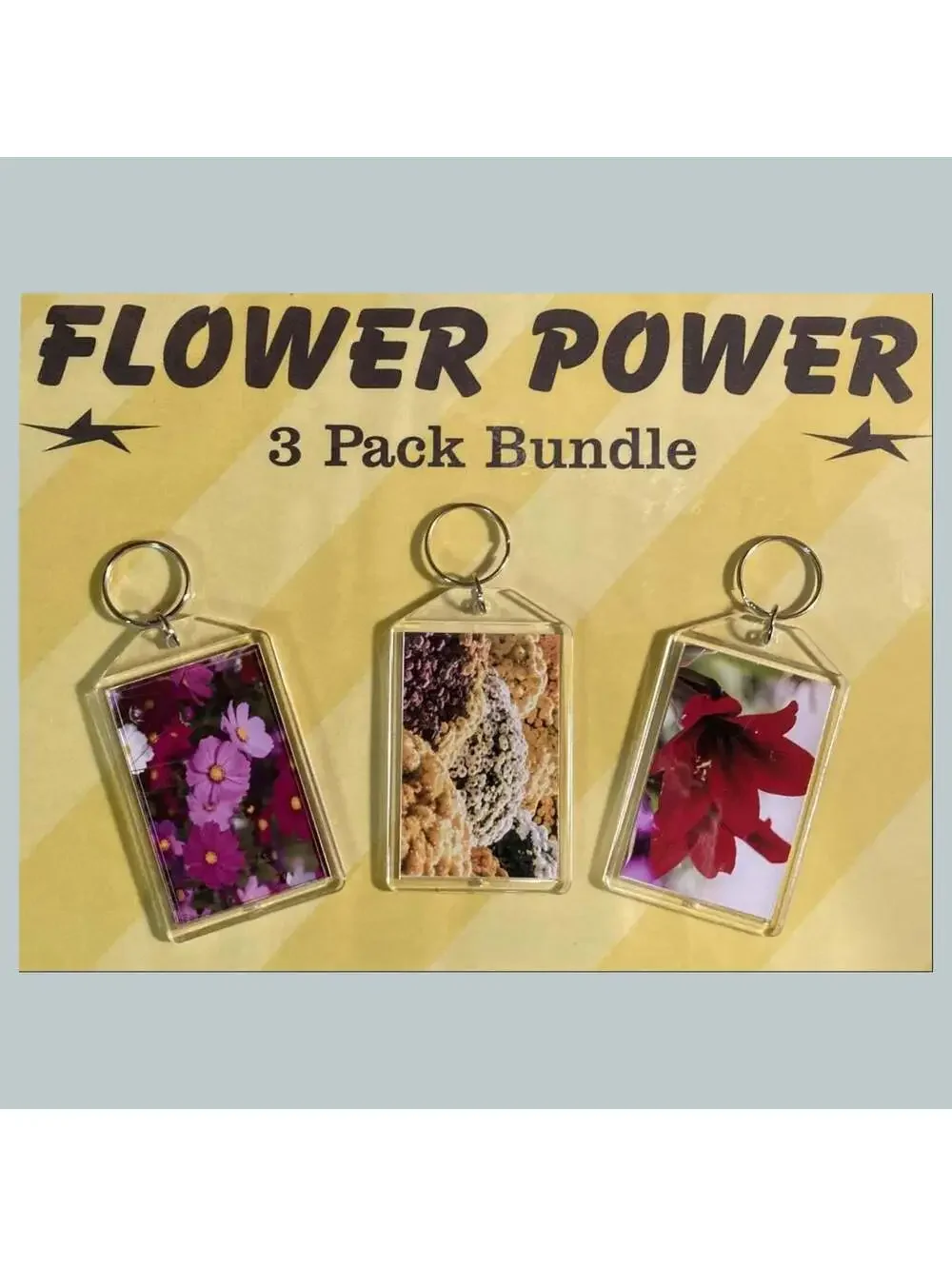 3687B Threefer Bundle Cosmos/Chrysanthemums/Amaryllis Acrylic Keychain